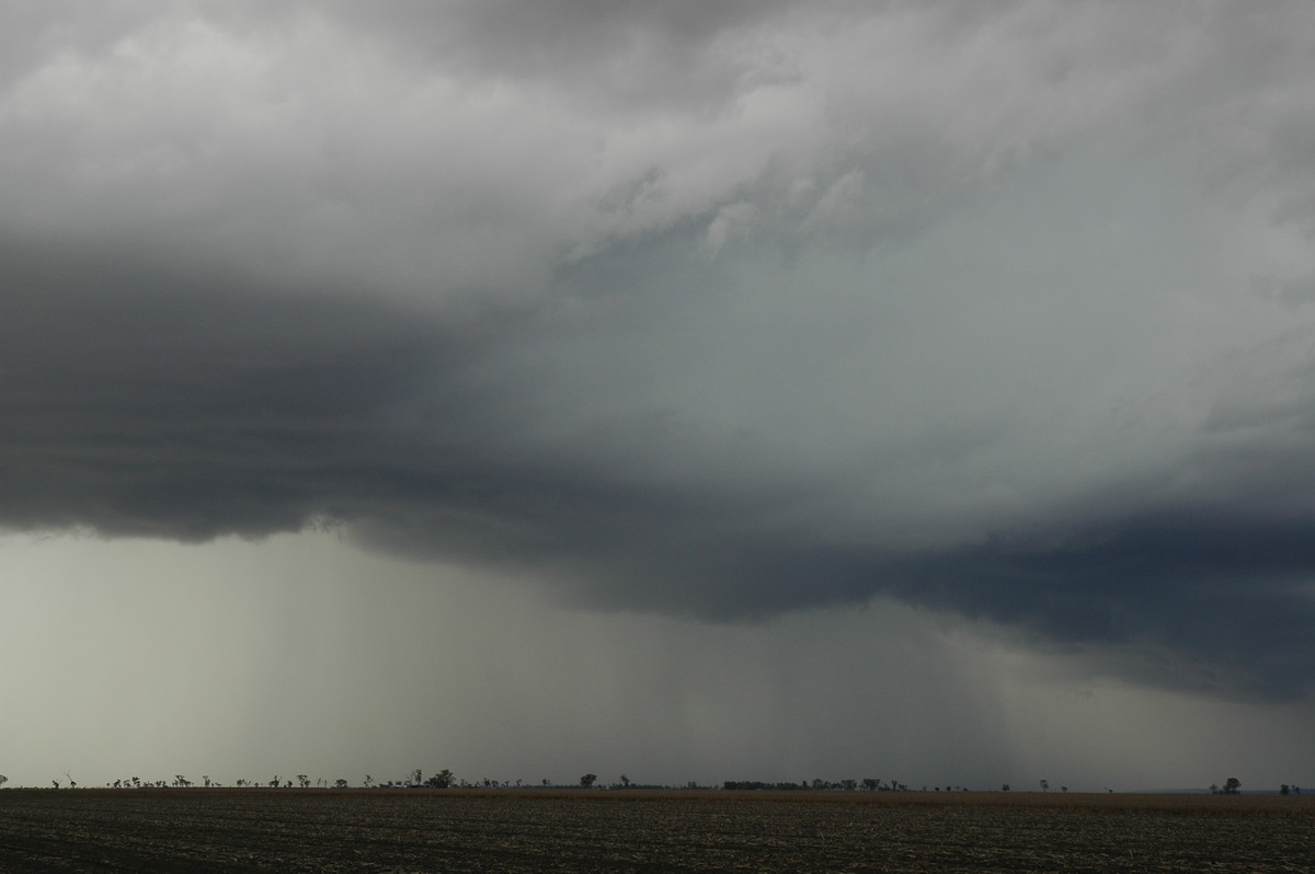 raincascade precipitation_cascade : near Dalby, QLD   4 November 2006