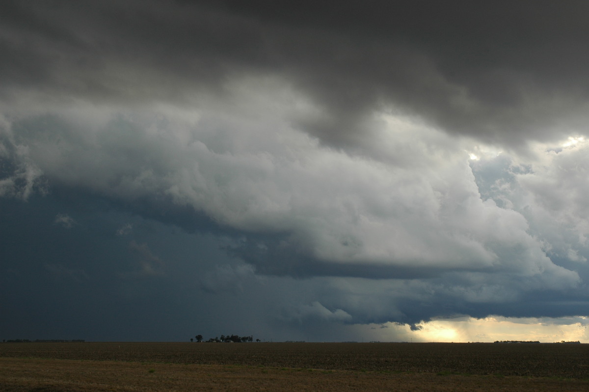 cumulonimbus thunderstorm_base : SE of Dalby, QLD   4 November 2006