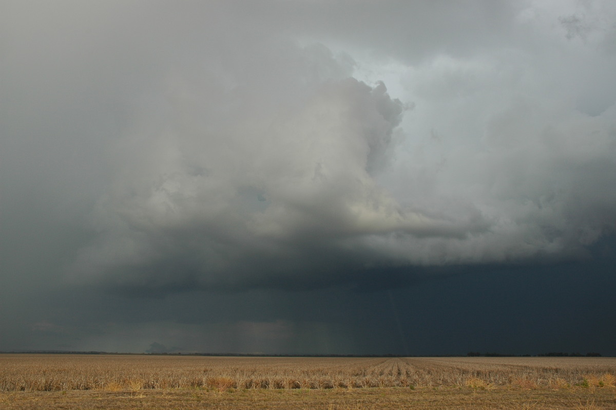 cumulonimbus thunderstorm_base : SE of Dalby, QLD   4 November 2006