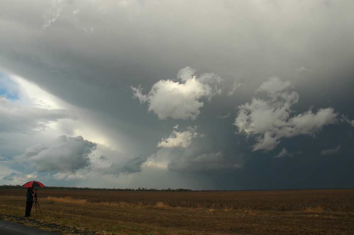 cumulus humilis : SE of Dalby, QLD   4 November 2006