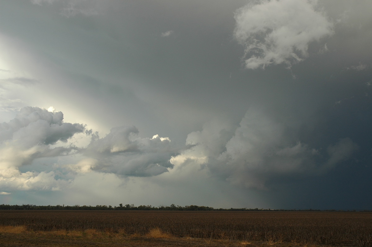 anvil thunderstorm_anvils : SE of Dalby, QLD   4 November 2006