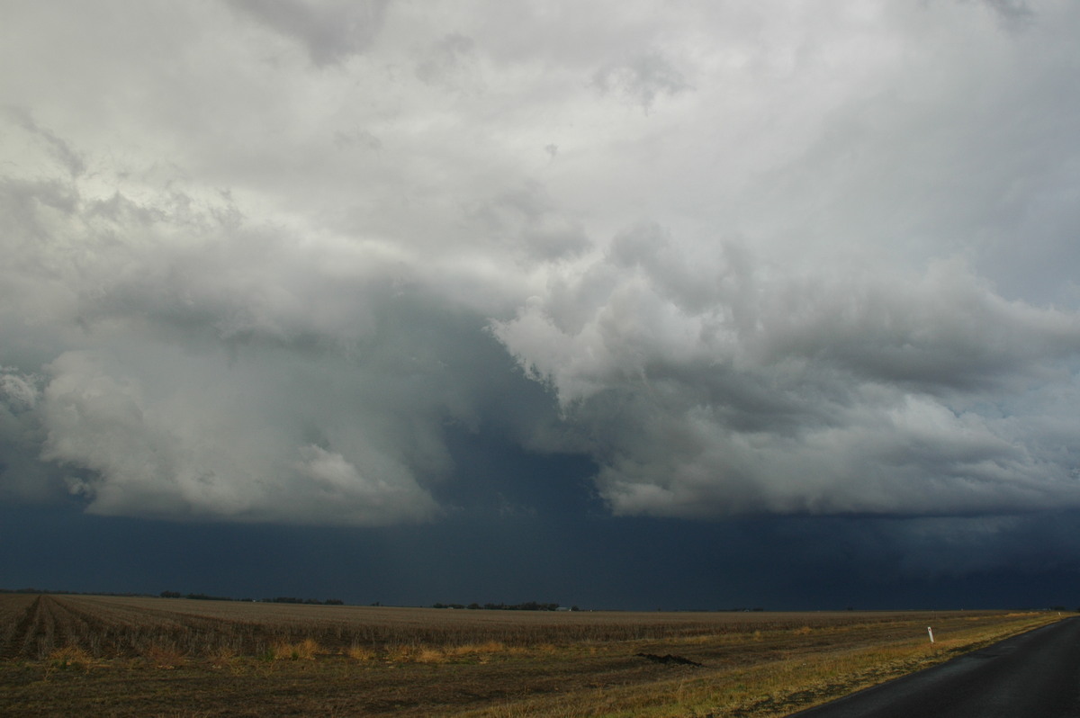 cumulonimbus thunderstorm_base : SE of Dalby, QLD   4 November 2006