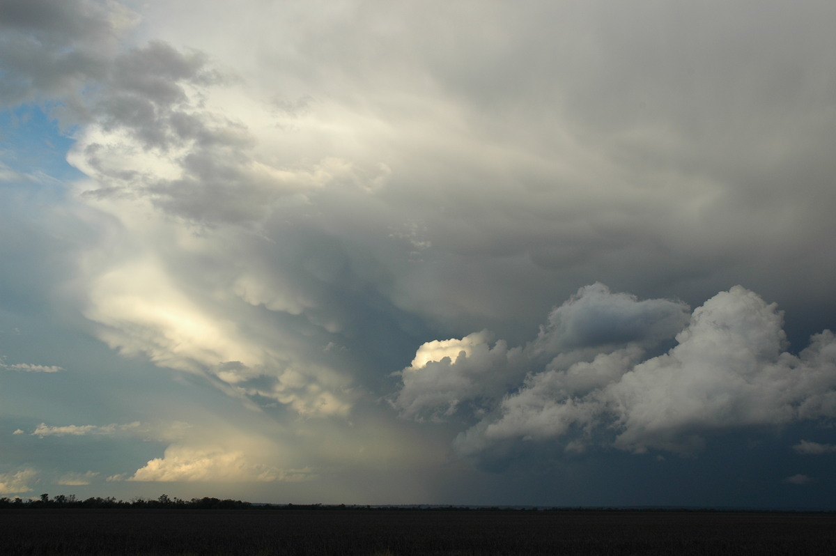 mammatus mammatus_cloud : SE of Dalby, QLD   4 November 2006