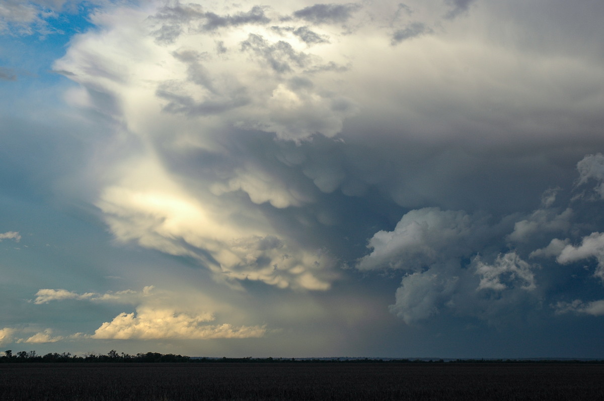 mammatus mammatus_cloud : SE of Dalby, QLD   4 November 2006