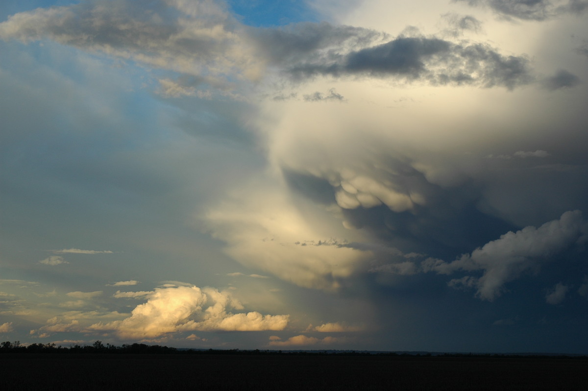 mammatus mammatus_cloud : SE of Dalby, QLD   4 November 2006