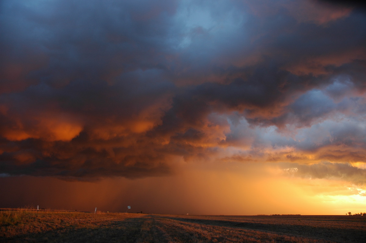 cumulonimbus thunderstorm_base : SE of Dalby, QLD   4 November 2006