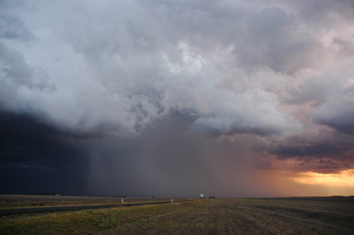 cumulonimbus thunderstorm_base : SE of Dalby, QLD   4 November 2006