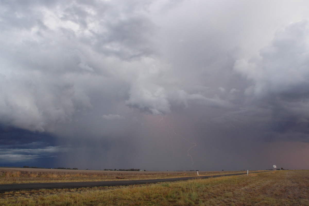 cumulonimbus thunderstorm_base : SE of Dalby, QLD   4 November 2006