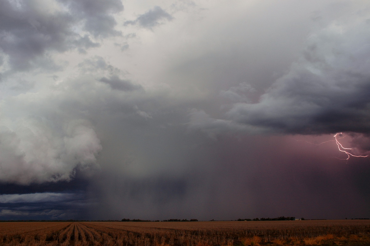 lightning lightning_bolts : SE of Dalby, QLD   4 November 2006