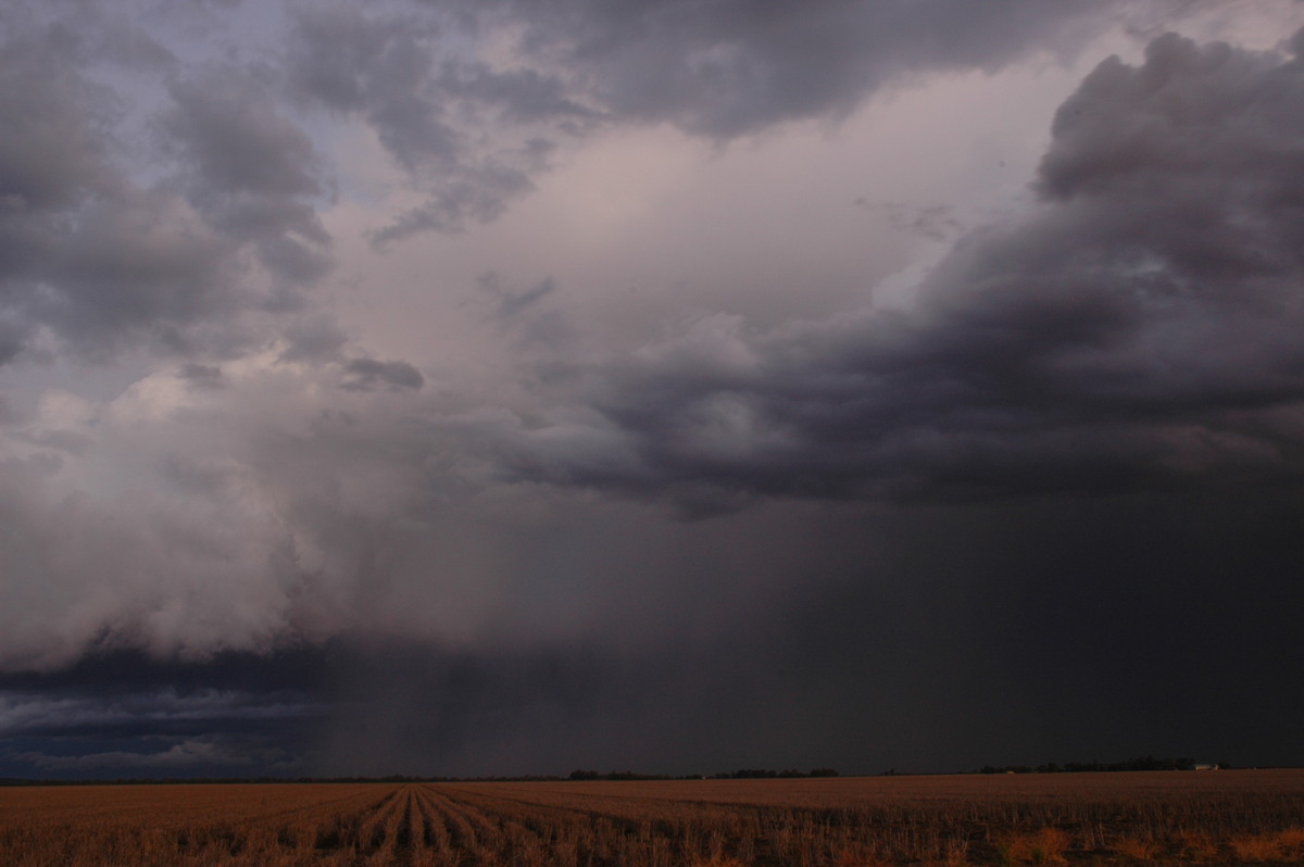 thunderstorm cumulonimbus_incus : SE of Dalby, QLD   4 November 2006