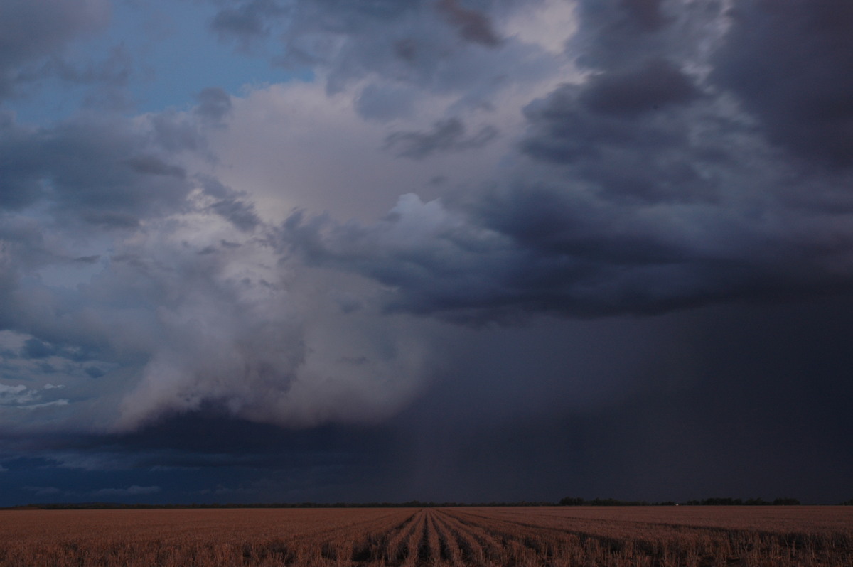 thunderstorm cumulonimbus_incus : SE of Dalby, QLD   4 November 2006