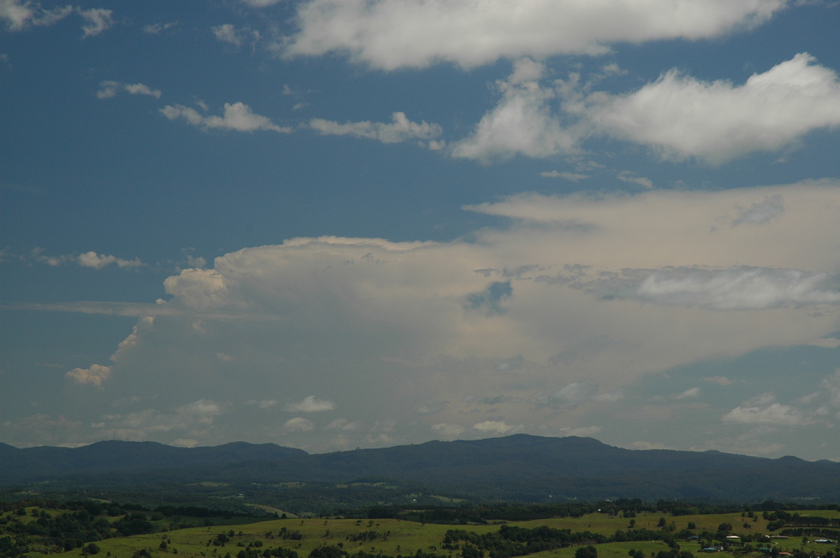 cumulus humilis : McLeans Ridges, NSW   8 November 2006