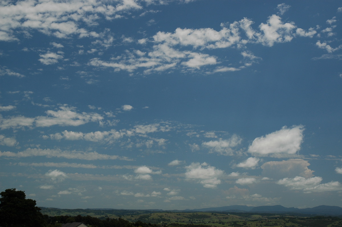 altocumulus castellanus : McLeans Ridges, NSW   8 November 2006