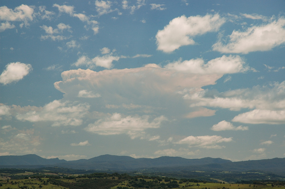 cumulus humilis : McLeans Ridges, NSW   8 November 2006