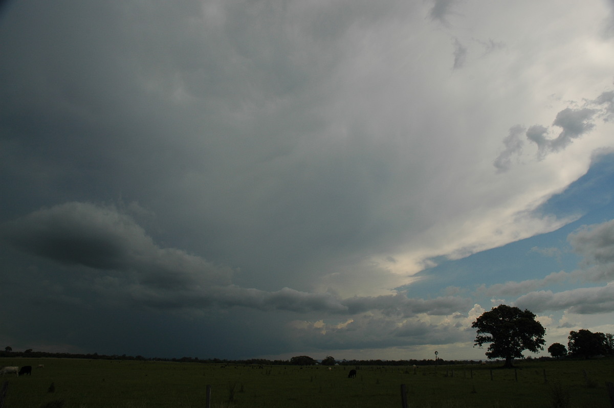 thunderstorm cumulonimbus_incus : N of Casino, NSW   8 November 2006