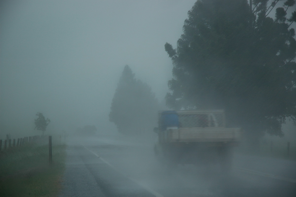 strongwind strong_wind : N of Wiangaree, NSW   8 November 2006