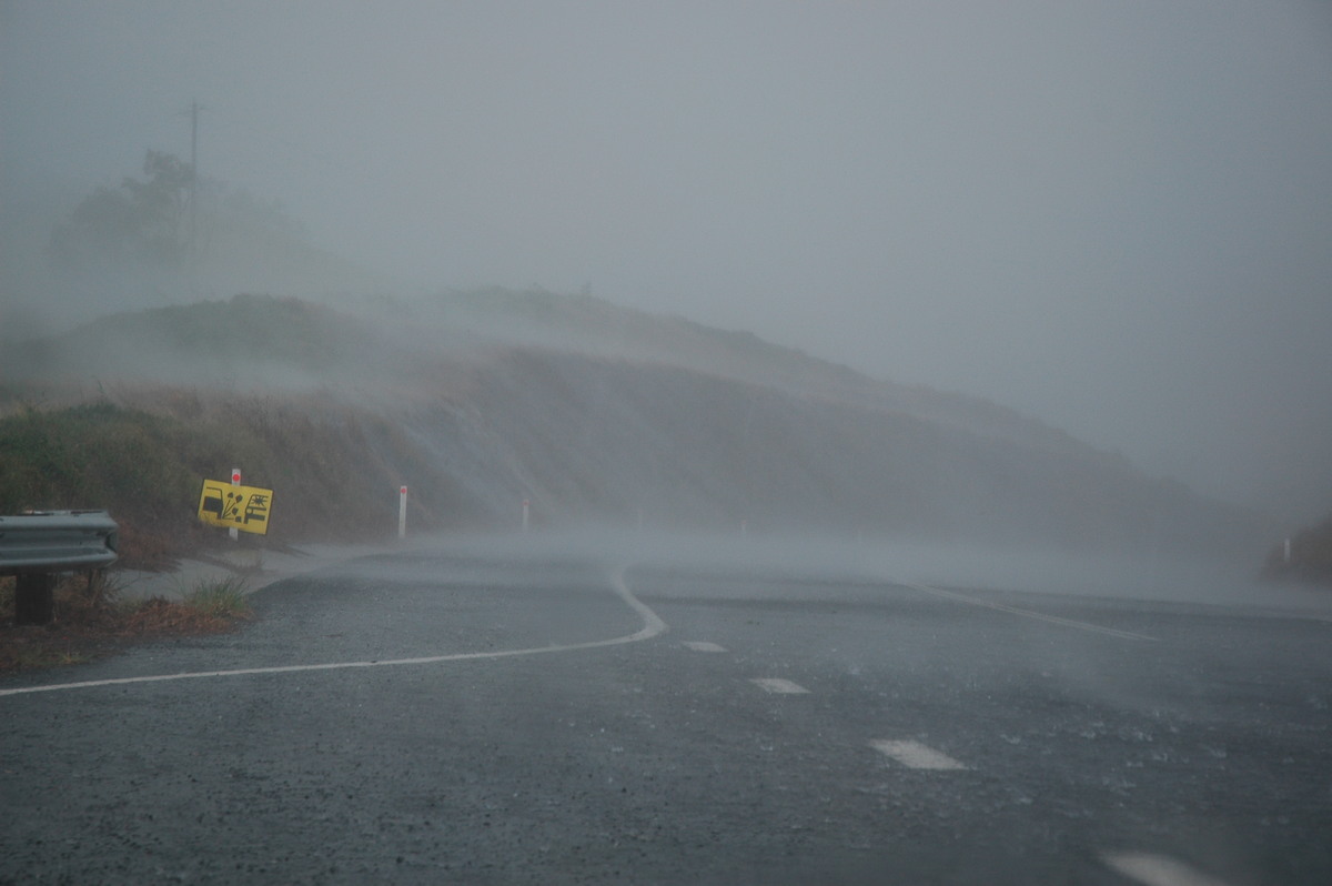 hailstones hail_stones : N of Wiangaree, NSW   8 November 2006