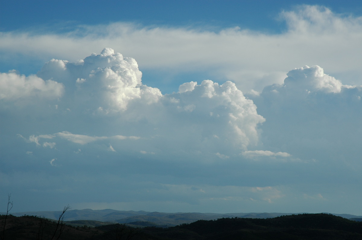 cumulus congestus : W of Tenterfield, NSW   8 November 2006