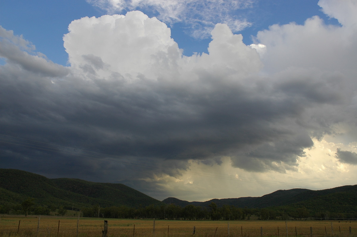 cumulus congestus : W of Tenterfield, NSW   8 November 2006