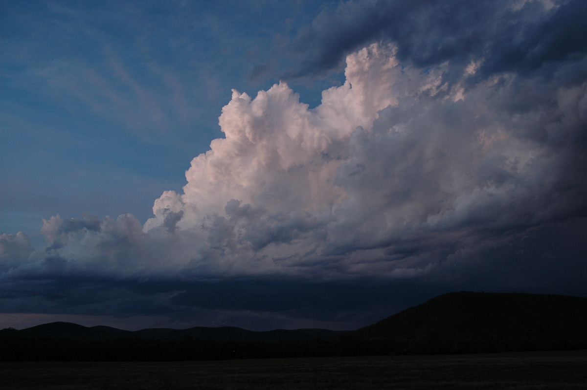 thunderstorm cumulonimbus_calvus : W of Tenterfield, NSW   8 November 2006