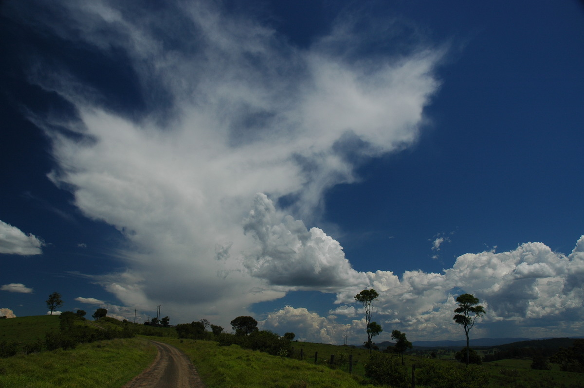 anvil thunderstorm_anvils : Mallanganee NSW   11 November 2006