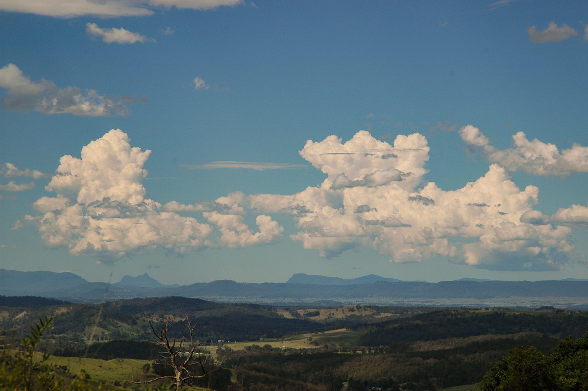 cumulus congestus : Mallanganee NSW   11 November 2006