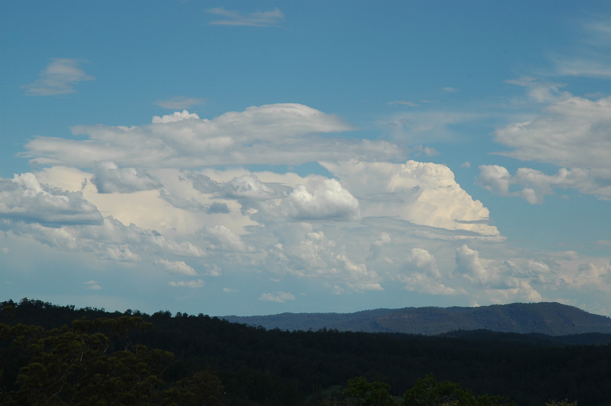 thunderstorm cumulonimbus_calvus : Mallanganee NSW   11 November 2006