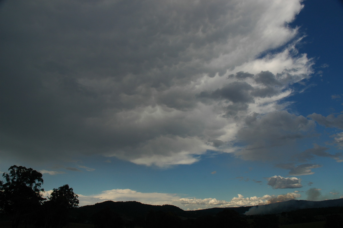 mammatus mammatus_cloud : Tabulum, NSW   11 November 2006