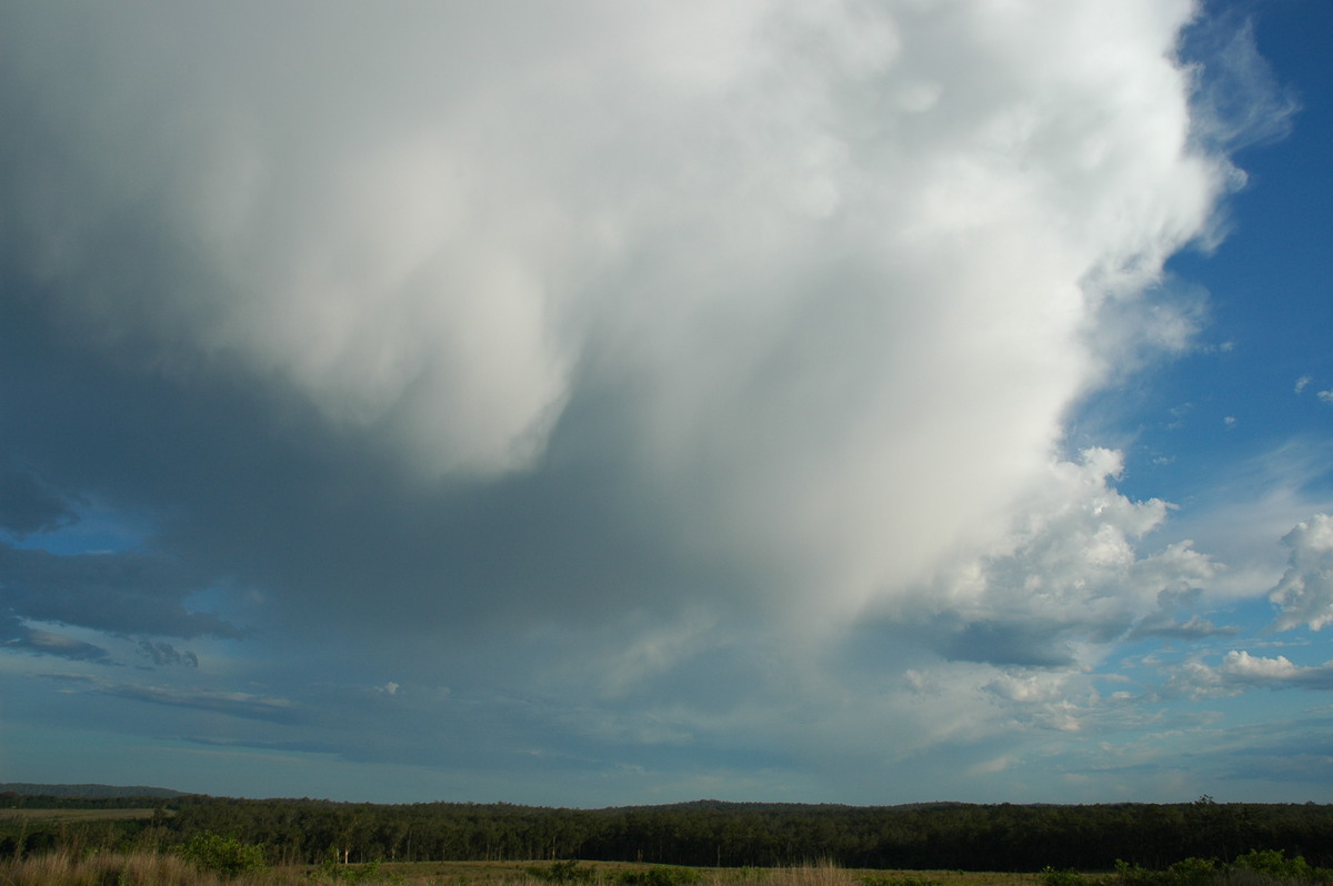 virga virga_pictures : Whiporie, NSW   11 November 2006