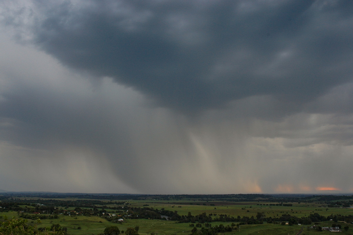 raincascade precipitation_cascade : Wyrallah, NSW   13 November 2006