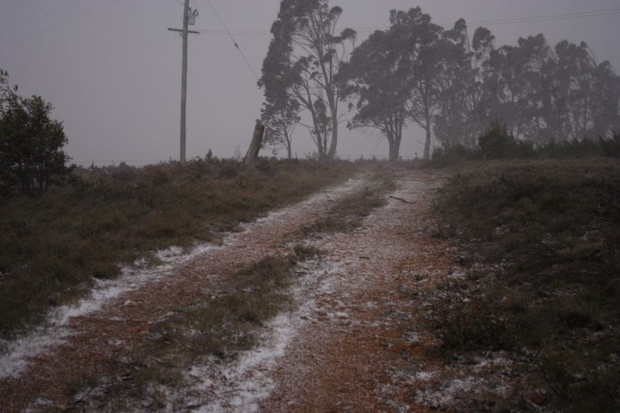 hailstones hail_stones : Shooters Hill, NSW   15 November 2006