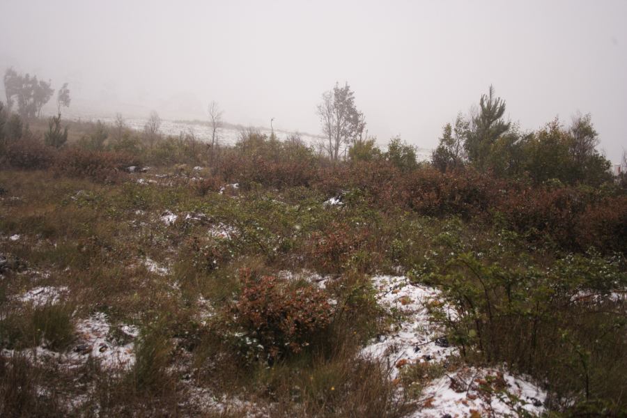 hailstones hail_stones : Shooters Hill, NSW   15 November 2006