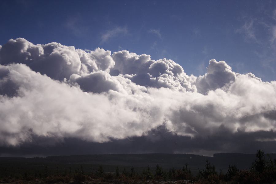 cumulus mediocris : Shooters Hill, NSW   15 November 2006