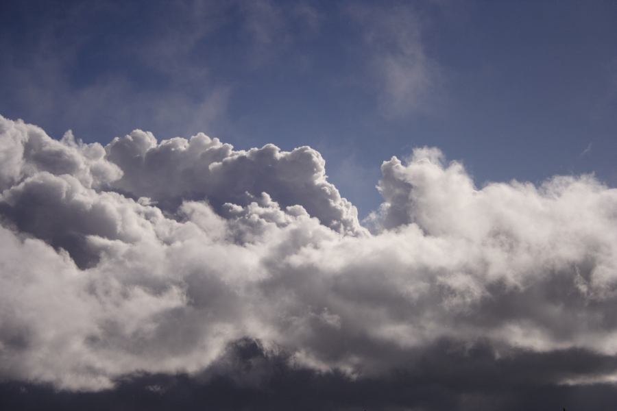 cumulus mediocris : Shooters Hill, NSW   15 November 2006