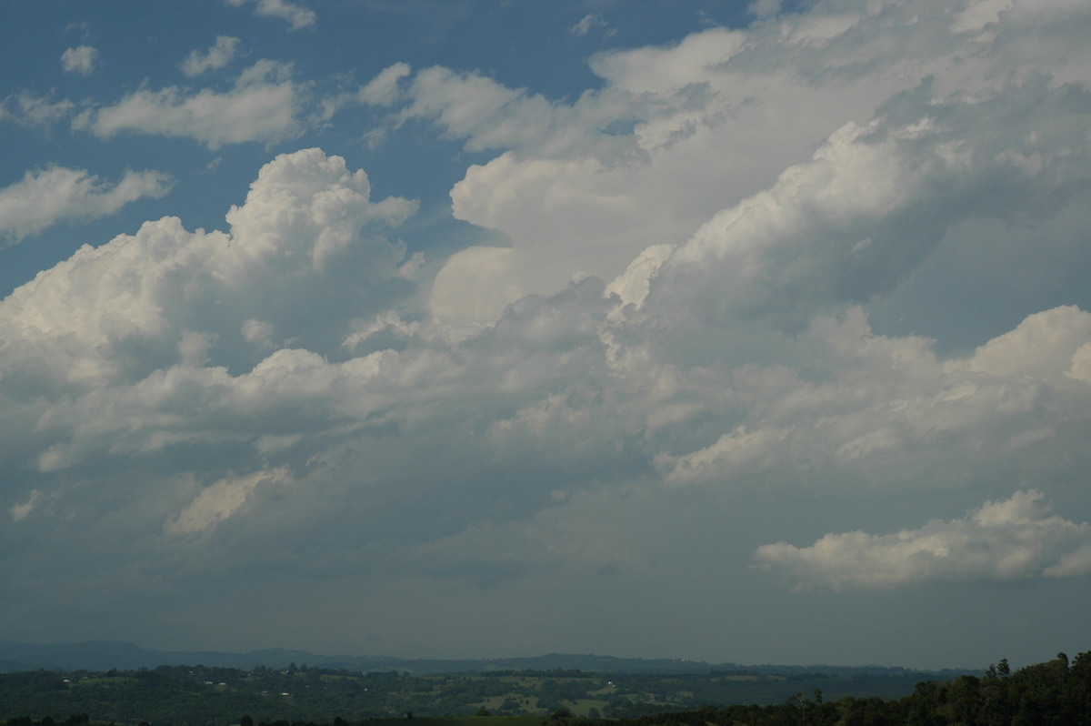 cumulus congestus : McLeans Ridges, NSW   15 November 2006