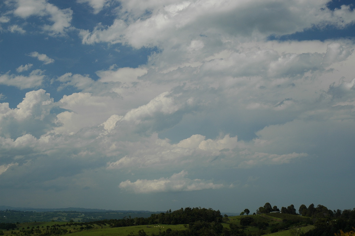 thunderstorm cumulonimbus_incus : McLeans Ridges, NSW   15 November 2006