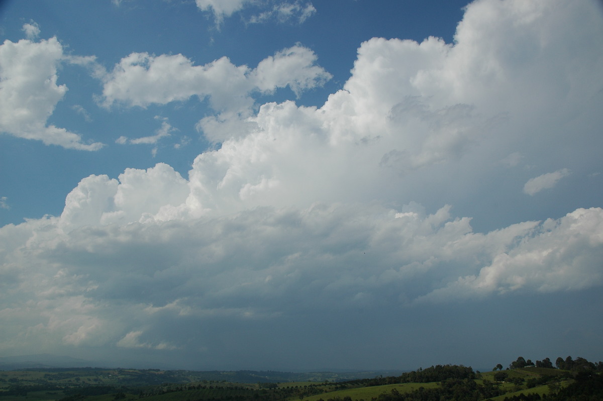 thunderstorm cumulonimbus_incus : McLeans Ridges, NSW   15 November 2006