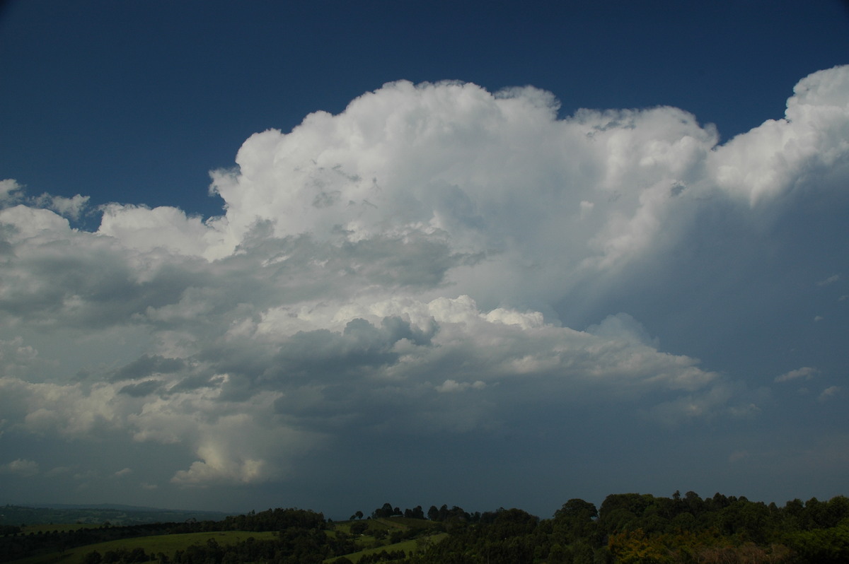 thunderstorm cumulonimbus_incus : McLeans Ridges, NSW   15 November 2006