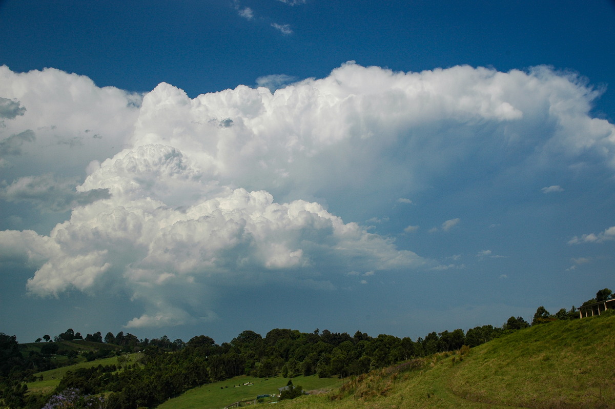 cumulonimbus supercell_thunderstorm : McLeans Ridges, NSW   15 November 2006