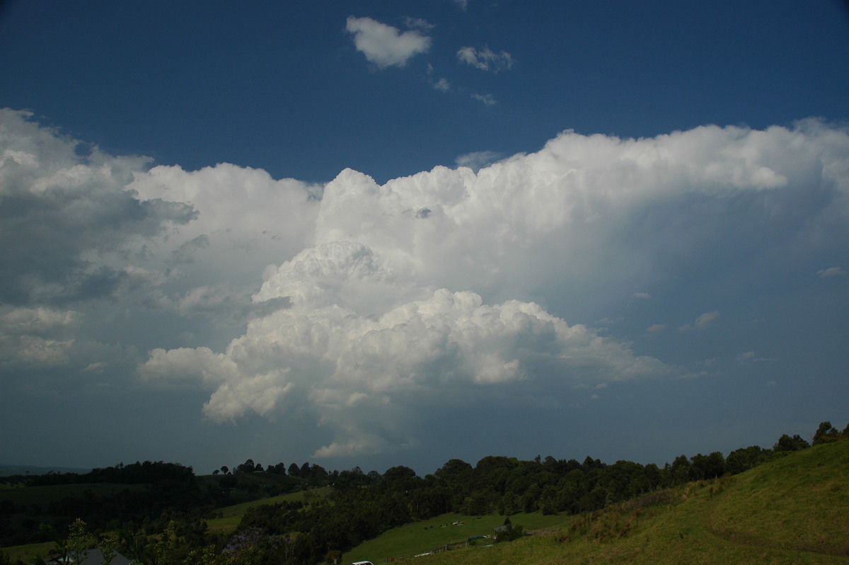 thunderstorm cumulonimbus_incus : McLeans Ridges, NSW   15 November 2006