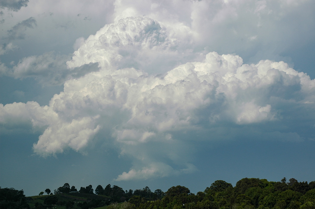 cumulonimbus supercell_thunderstorm : McLeans Ridges, NSW   15 November 2006