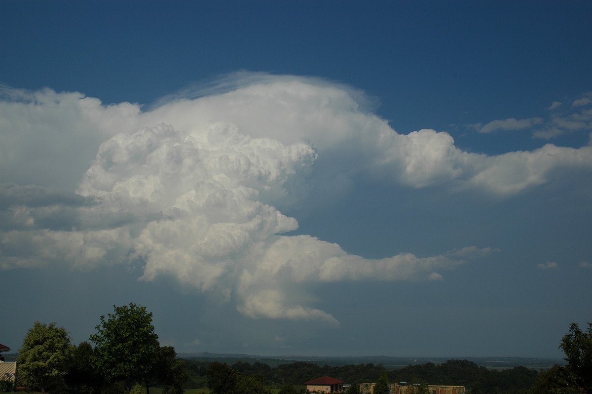 pileus pileus_cap_cloud : Alstonville, NSW   15 November 2006