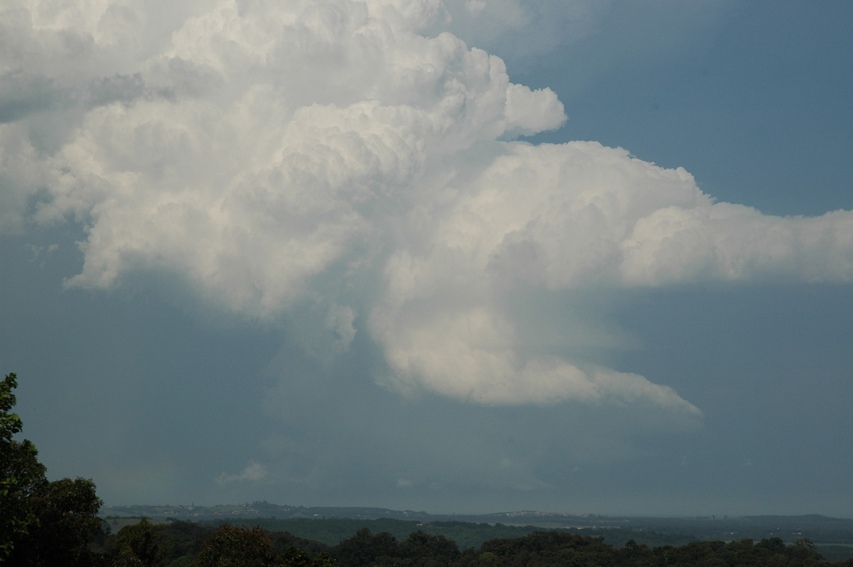 inflowband thunderstorm_inflow_band : Alstonville, NSW   15 November 2006