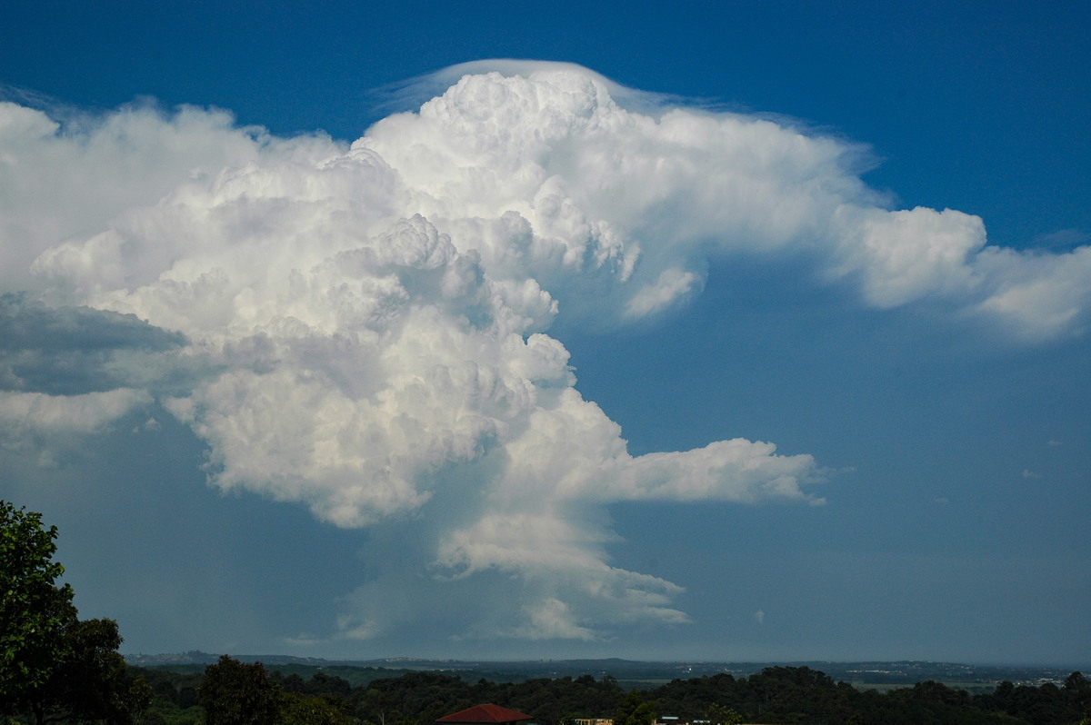 cumulonimbus supercell_thunderstorm : Alstonville, NSW   15 November 2006