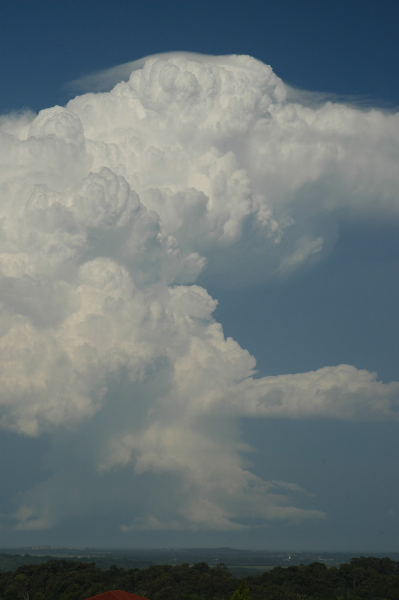 thunderstorm cumulonimbus_incus : Alstonville, NSW   15 November 2006