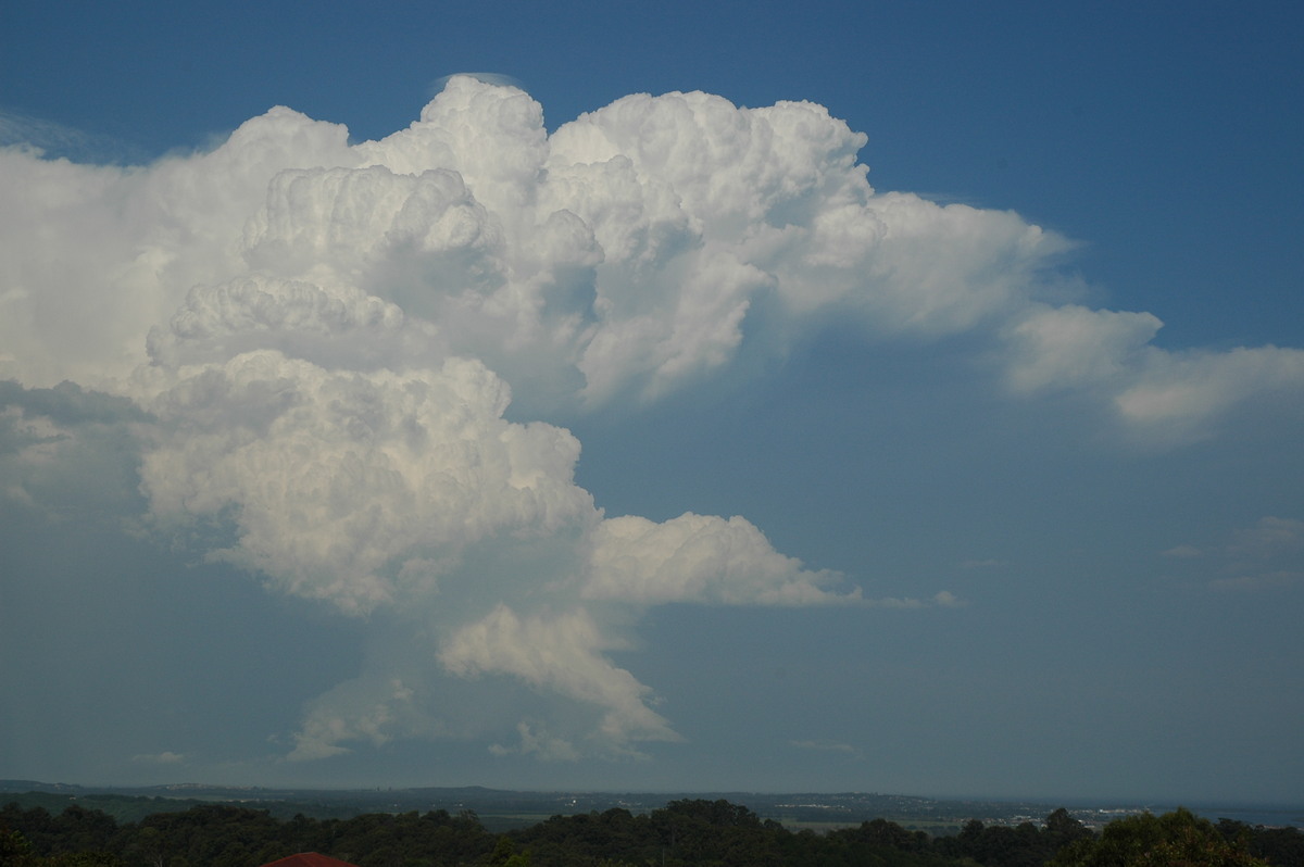 anvil thunderstorm_anvils : Alstonville, NSW   15 November 2006