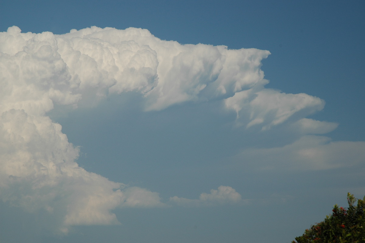 updraft thunderstorm_updrafts : Alstonville, NSW   15 November 2006