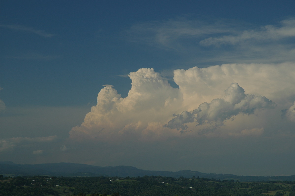 pileus pileus_cap_cloud : McLeans Ridges, NSW   15 November 2006