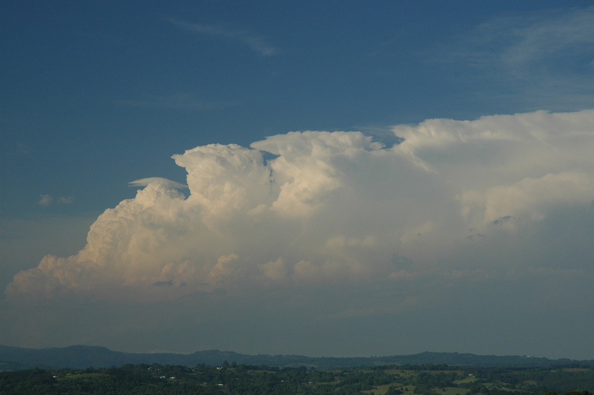 pileus pileus_cap_cloud : McLeans Ridges, NSW   15 November 2006