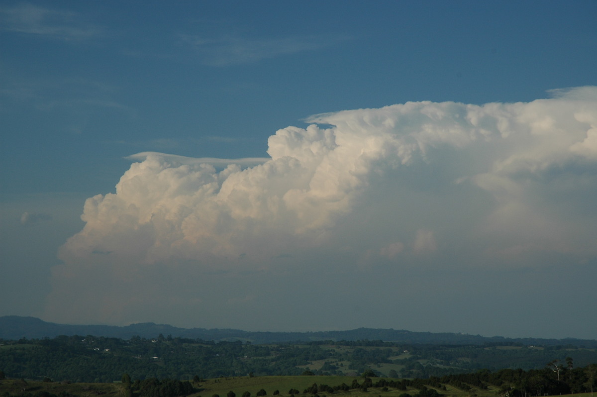 pileus pileus_cap_cloud : McLeans Ridges, NSW   15 November 2006